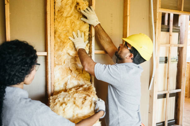 Best Insulation for New Construction  in Bonnetsville, NC