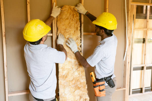 Best Cellulose Insulation  in Bonnetsville, NC