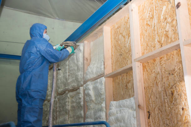 Best Insulation Contractor Near Me  in Bonnetsville, NC