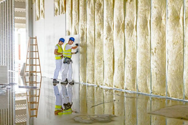Best Attic Insulation Installation  in Bonnetsville, NC